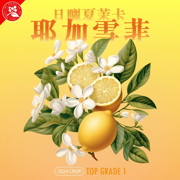 埃塞俄比亞｜耶加雪菲 紅圈計畫 夏茉卡 74110 日曬 淺焙｜咖啡豆 掛耳包