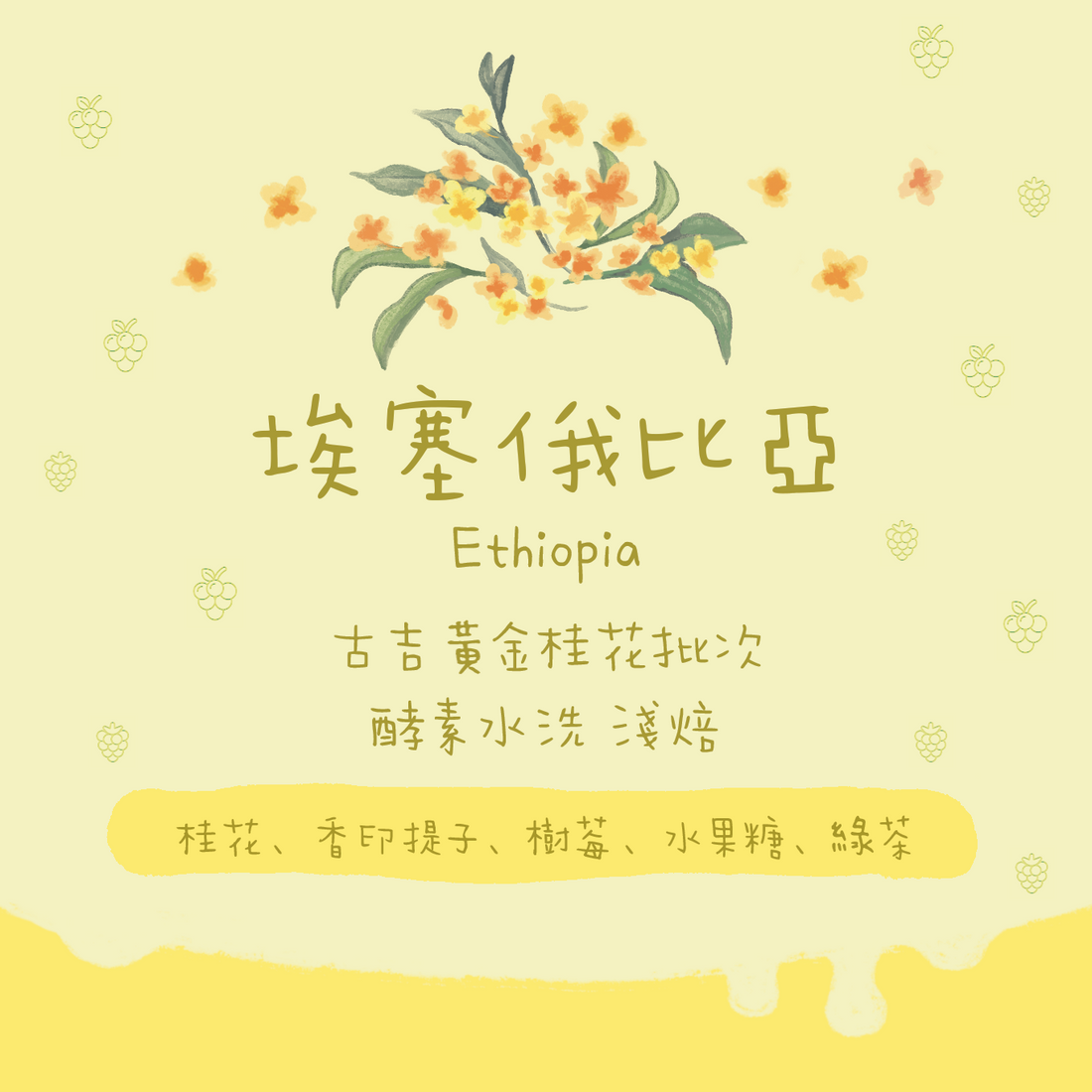 【1月19日開售-黃金桂花🌼】埃塞俄比亞｜安娜索拉 黃金桂花批次 酵母水洗 淺焙｜咖啡豆 掛耳包