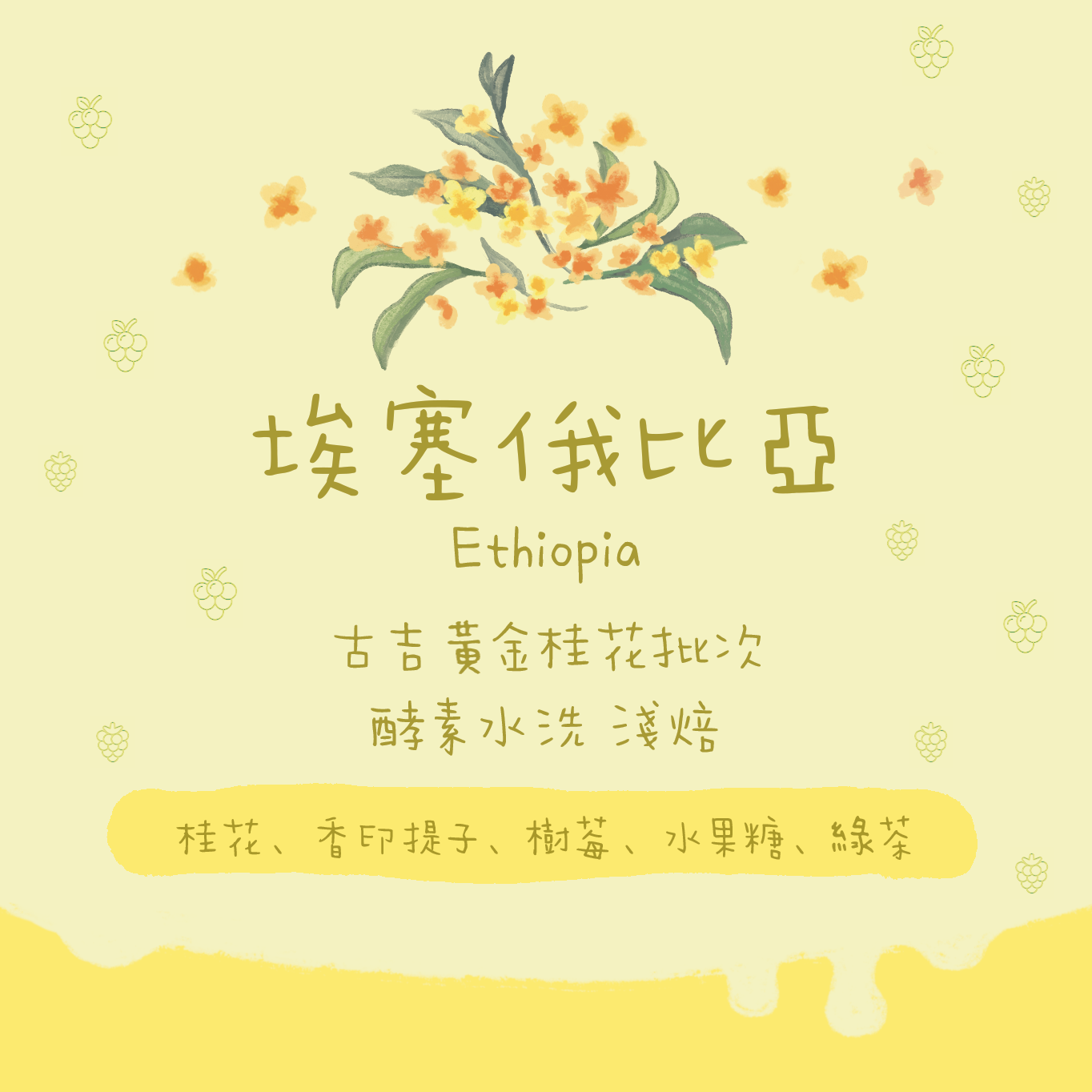 【1月19日開售-黃金桂花🌼】埃塞俄比亞｜安娜索拉 黃金桂花批次 酵母水洗 淺焙｜咖啡豆 掛耳包